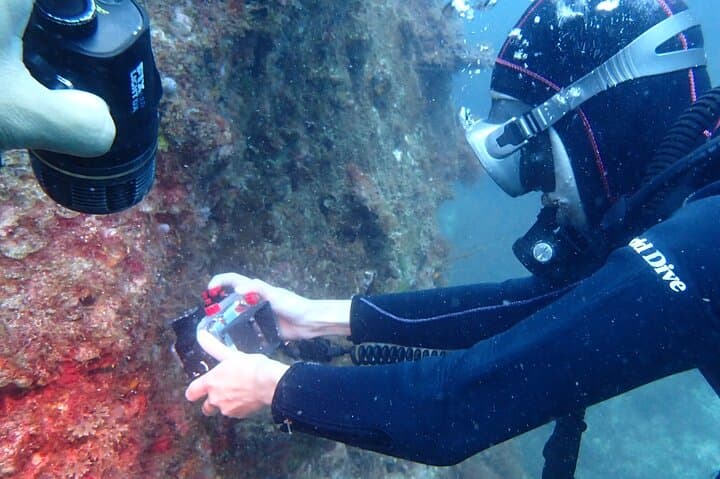 Premier Dive Spots Experience in Kushimoto — photo 8