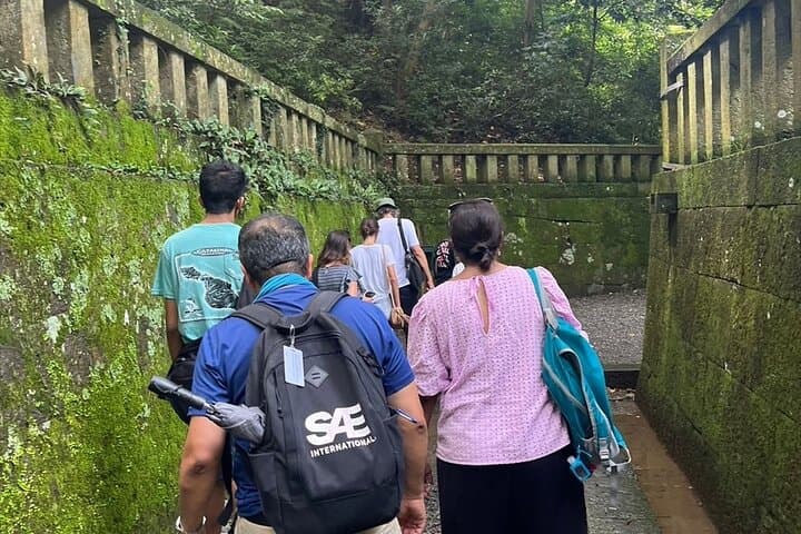 Miho no Matsubara, Kunozan Toshogu, Nihondaira Guided Tour-Van — photo 5