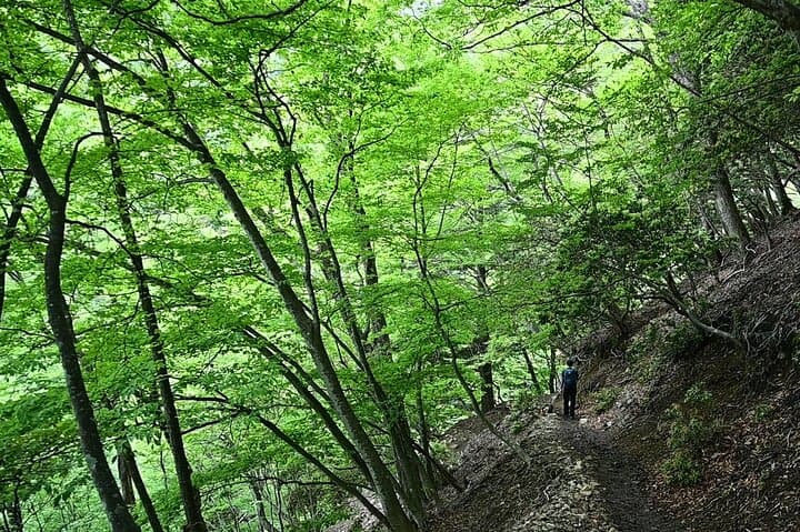 Hiking Adventure to Mt. Mitake, escaping from the Heart of Tokyo — photo 2