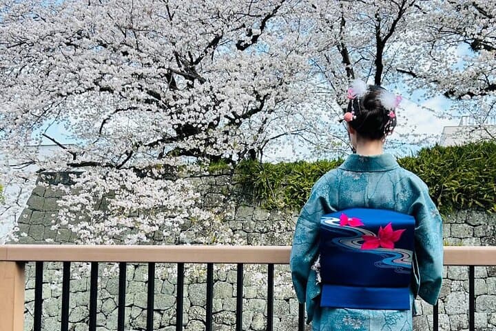 Kimono Rental Experience in Shizuoka — photo 7