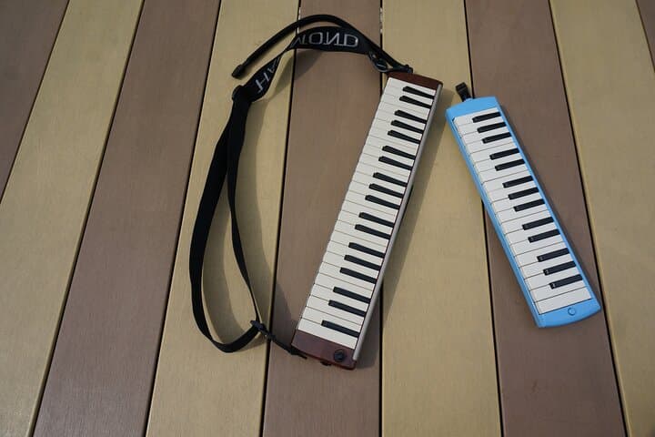 Unique Music Experience with Melodica originated in Japan — photo 3