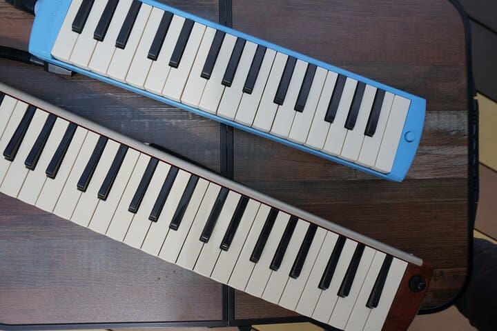 Unique Music Experience with Melodica originated in Japan — photo 8