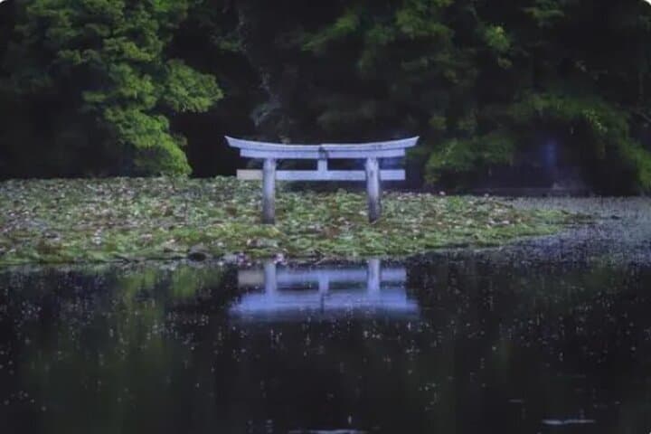 Shiga 1Day Private Tour from Kyoto — photo 6
