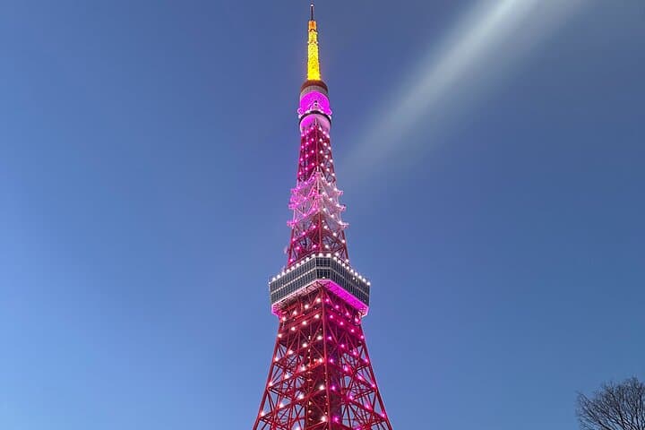 Tokyo tower Private Walking Tour and Night food tour : 6:00pm — photo 12