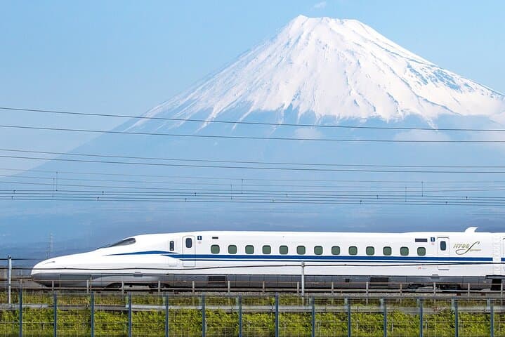 Super Express Nara & Kyoto Private 1-Day Tour from Tokyo — photo 11