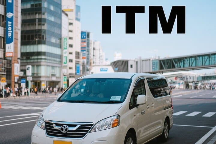 Osaka: Private Airport Transfers to/from Itami Airport(ITM) — photo 4