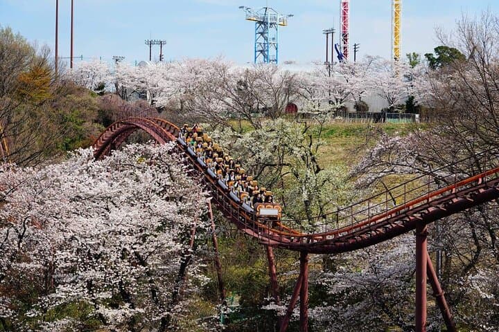 Yomiuri Land Amusement Park Ticket Tokyo Japan — photo 7