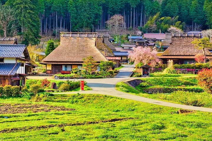Amanohashidate Ine Funaya and Miyama Thatched Village Tour — photo 5