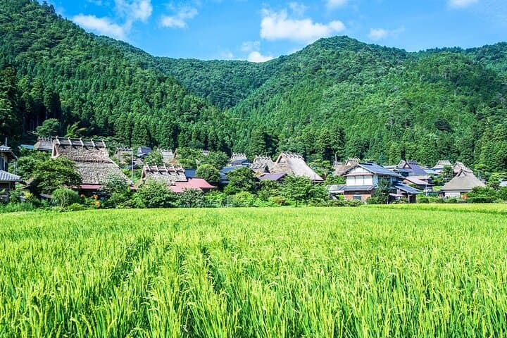 Amanohashidate Ine Funaya and Miyama Thatched Village Tour — photo 6