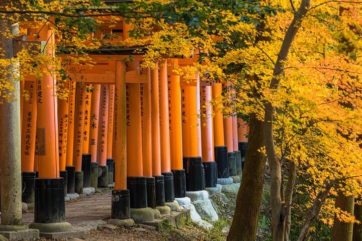 One-Day Tour of Kyoto's Highlights from Osaka/Kyoto — photo 12