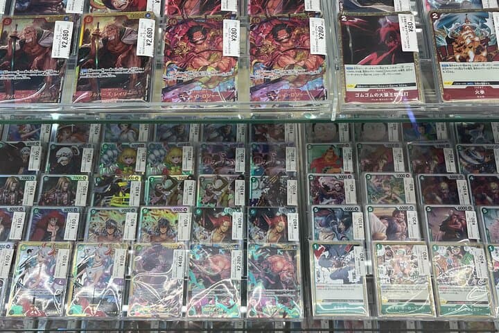 Osaka : Private This is the one! Personalized Anime Shopping Tour — photo 14
