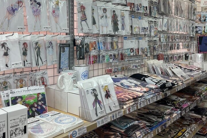 Osaka : Private This is the one! Personalized Anime Shopping Tour — photo 10