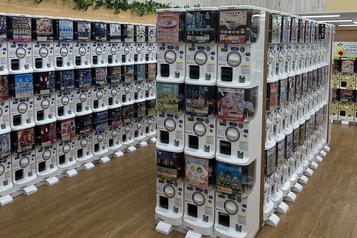 Osaka : Private This is the one! Personalized Anime Shopping Tour — photo 12
