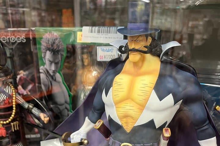 Osaka : Private This is the one! Personalized Anime Shopping Tour — photo 17