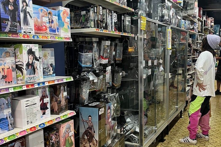 Osaka : Private This is the one! Personalized Anime Shopping Tour — photo 8