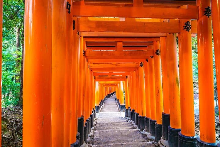 Kyoto Tour at Nara Park, Arashiyama and Fushimi Inari Shrine — photo 4