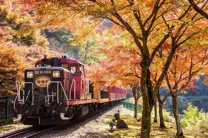Kyoto Tour at Nara Park, Arashiyama and Fushimi Inari Shrine — photo 9