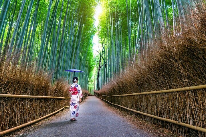 Kyoto Tour at Nara Park, Arashiyama and Fushimi Inari Shrine — photo 11