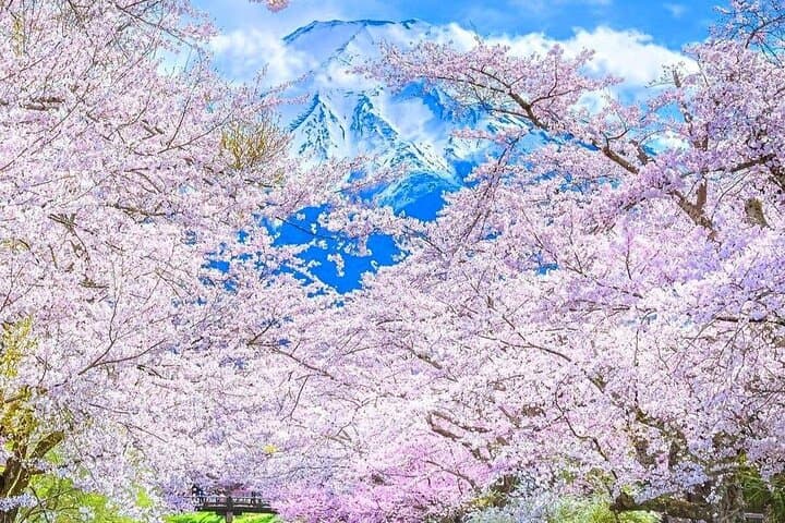 Mt Fuji & Hakone Scenic Day Tour with Lake Ashi Cruise & Ropeway — photo 7