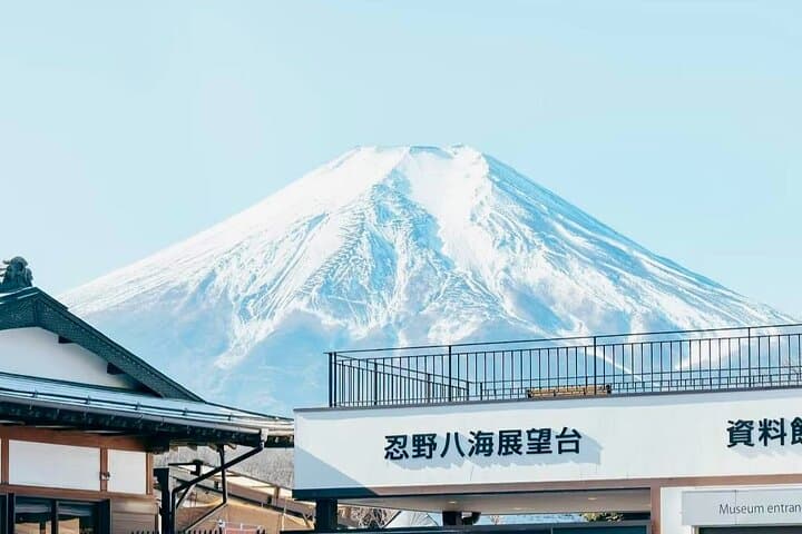 Mt Fuji & Hakone Scenic Day Tour with Lake Ashi Cruise & Ropeway — photo 1
