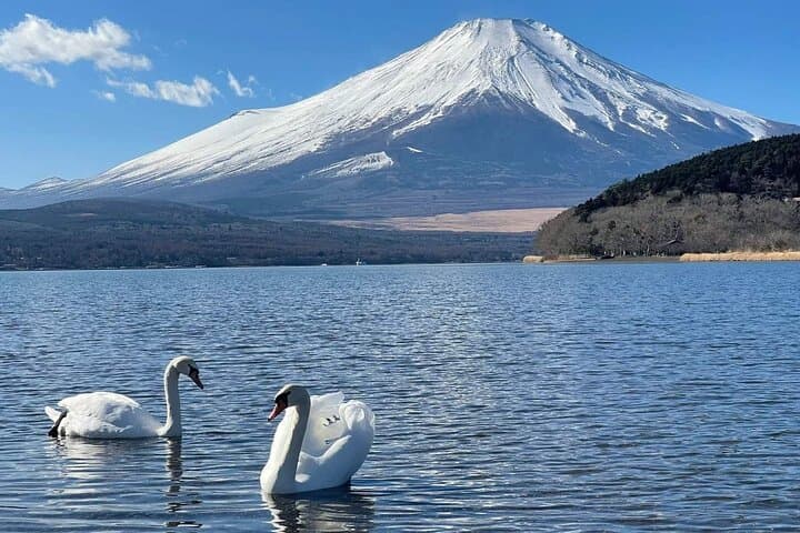 Mount Fuji and Hakone Day Trip with Ropeway Ride — photo 6