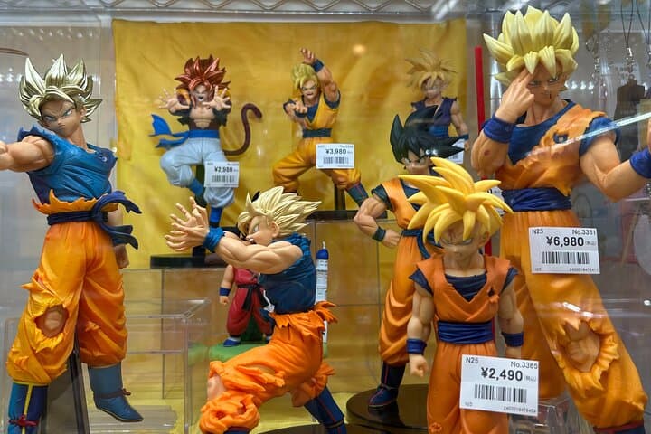 Akihabara Pop Culture Tour with Maid Café and UFO Catcher Fun — photo 8
