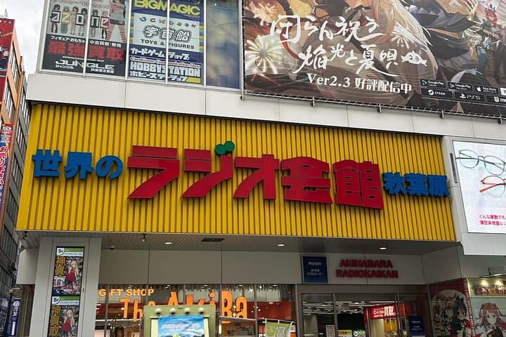 Akihabara Pop Culture Tour with Maid Café and UFO Catcher Fun — photo 15
