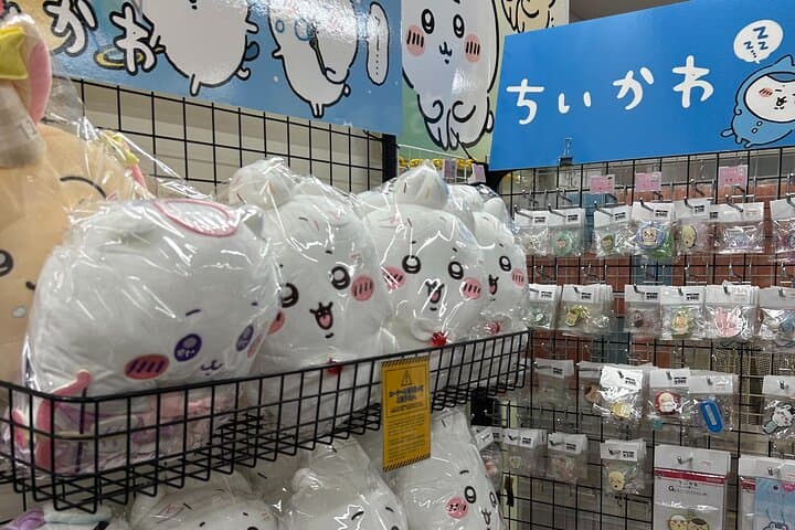 Akihabara Pop Culture Tour with Maid Café and UFO Catcher Fun — photo 17