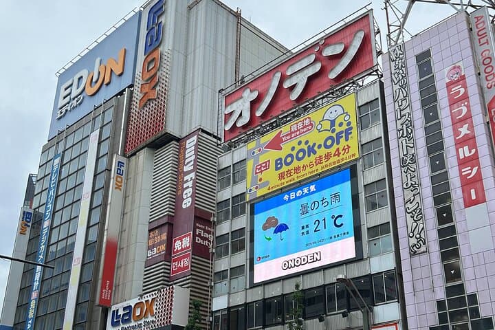 Akihabara Pop Culture Tour with Maid Café and UFO Catcher Fun — photo 18