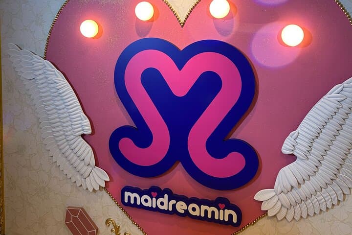 Akihabara Pop Culture Tour with Maid Café and UFO Catcher Fun — photo 19