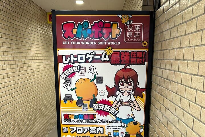 Akihabara Pop Culture Tour with Maid Café and UFO Catcher Fun — photo 20