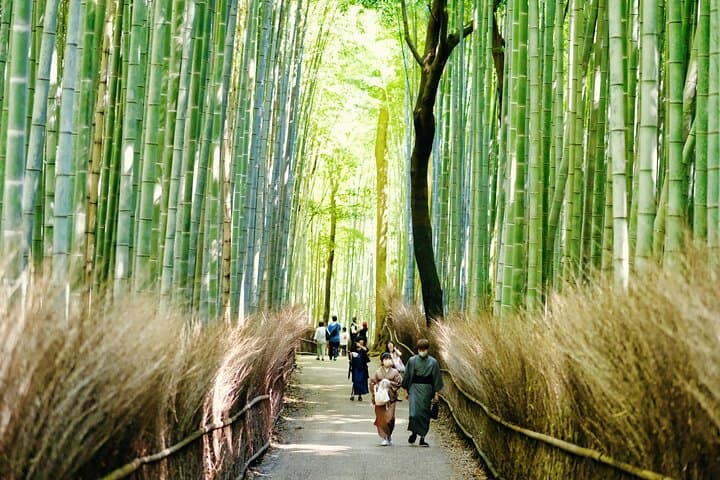 Kyoto Private boat cruise with traditional music& Geisha culture — photo 9