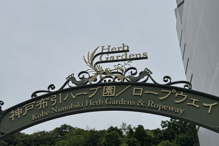 Single- & multi-day Adventures within Kyoto Nara Osaka Kobe — photo 14