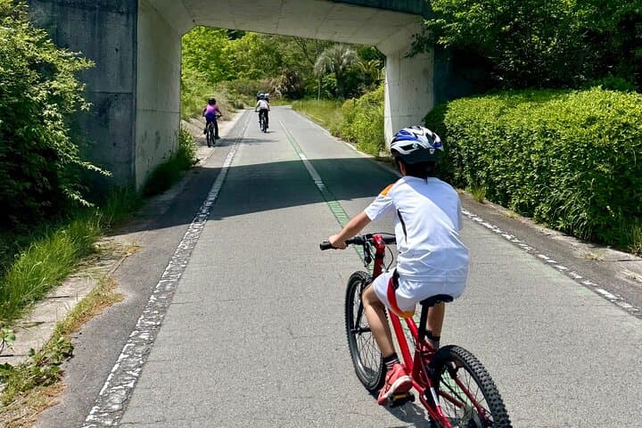 Shimanami Day Bike Tour: Fun for All, Great for Families — photo 8