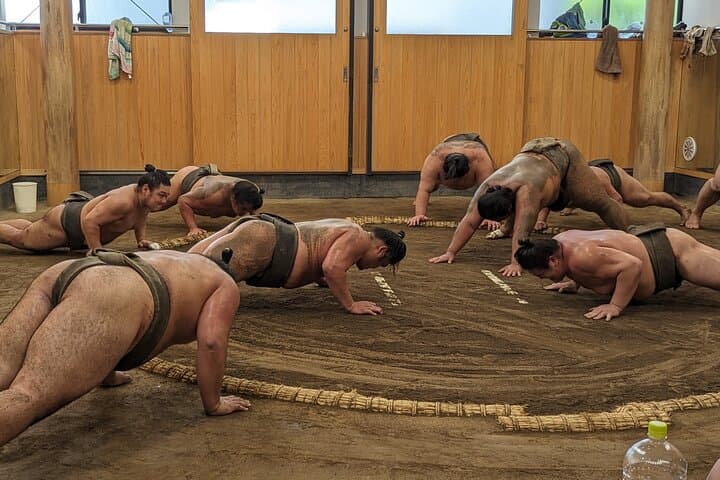 Sumo show and Chanko lunch — photo 2