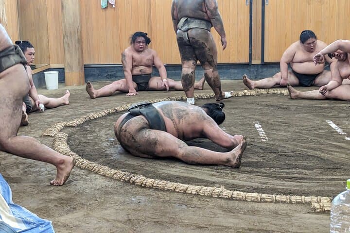 Sumo show and Chanko lunch — photo 3