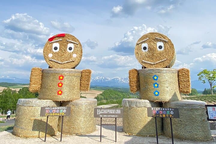 Furano and Biei Special Complete package — photo 6