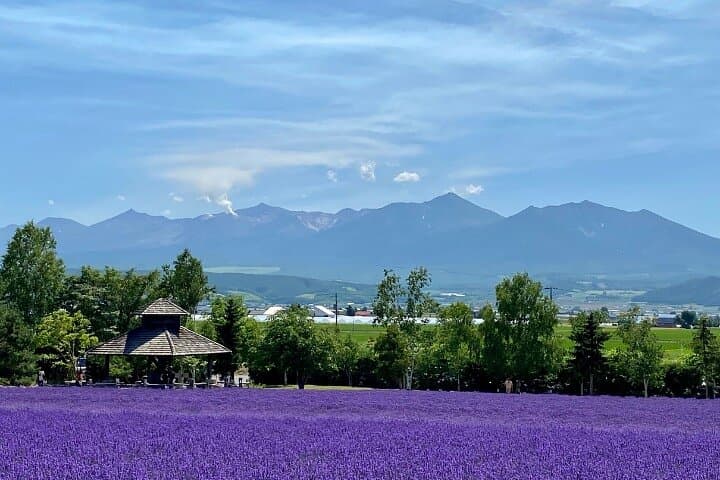 Furano and Biei Special Complete package — photo 2