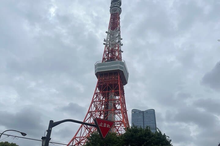 Japan 7 Days Tour — photo 5