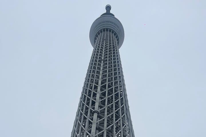 Japan 7 Days Tour — photo 6