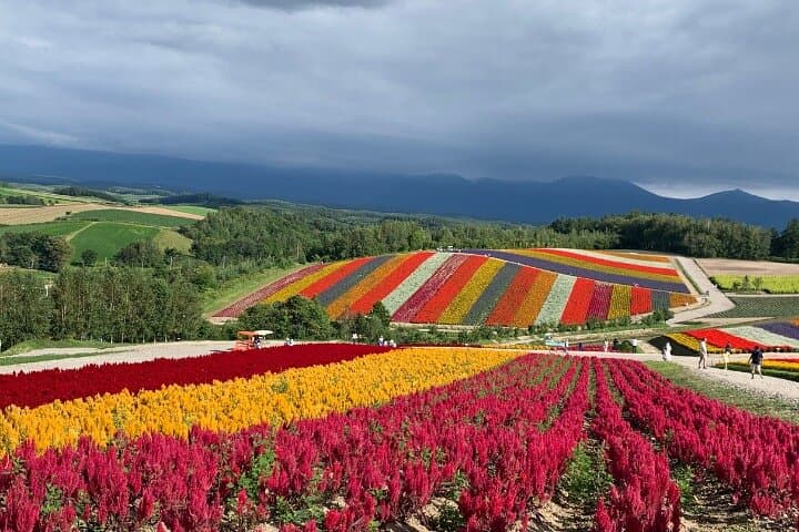Furano and Biei Special Complete package — photo 5