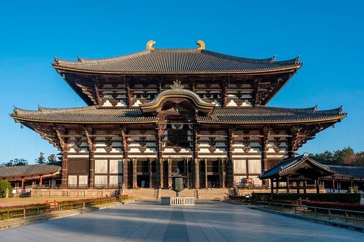 Nara Afternoon guided Tour from Osaka or Kyoto — photo 2