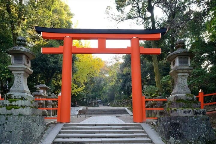 Nara Afternoon guided Tour from Osaka or Kyoto — photo 1