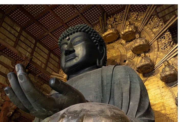 Nara Afternoon guided Tour from Osaka or Kyoto — photo 7
