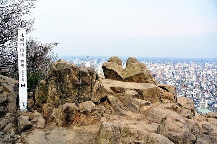 1 Day Tour in Sapporo Mt Maruyama Hike and Okurayama Ski Jump — photo 3