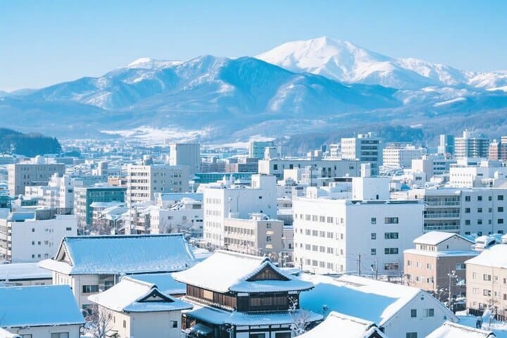 New Chitose Airport(CTS): Private Transfer to/from Niseko/Sapporo — photo 5