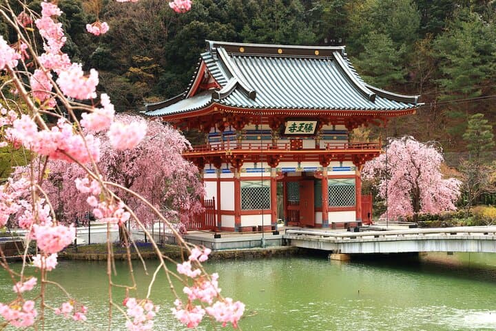 Osaka / Kyoto: Katsuoji, Arashiyama & Kinkaku-ji One Day Tour — photo 3