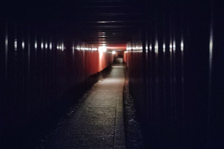 Kyoto: Fushimi Inari Taisha Night Tour with Guide — photo 16