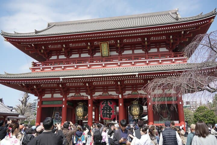 Full Tokyo: Meiji Shrine, Imperial Palace, Asakusa & Skytree — photo 13