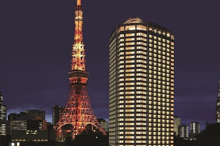 Tokyo Sightseeing/ City Tour by Private Car with English Guide — photo 2